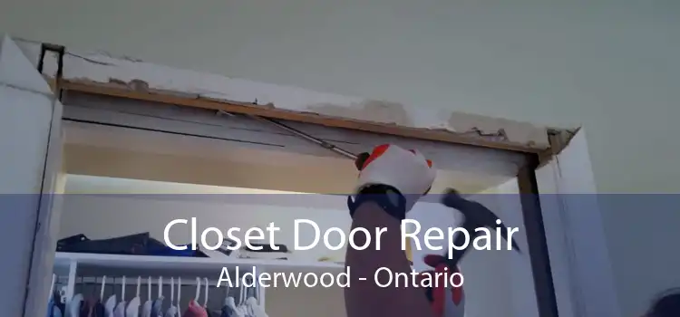 Closet Door Repair Alderwood - Ontario