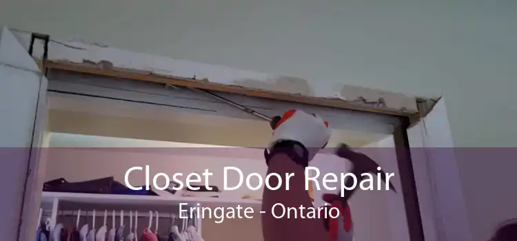 Closet Door Repair Eringate - Ontario