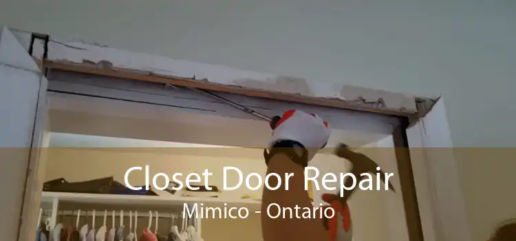 Closet Door Repair Mimico - Ontario