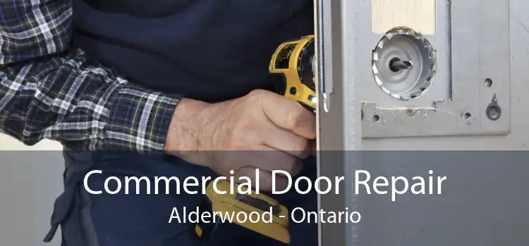 Commercial Door Repair Alderwood - Ontario