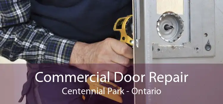 Commercial Door Repair Centennial Park - Ontario