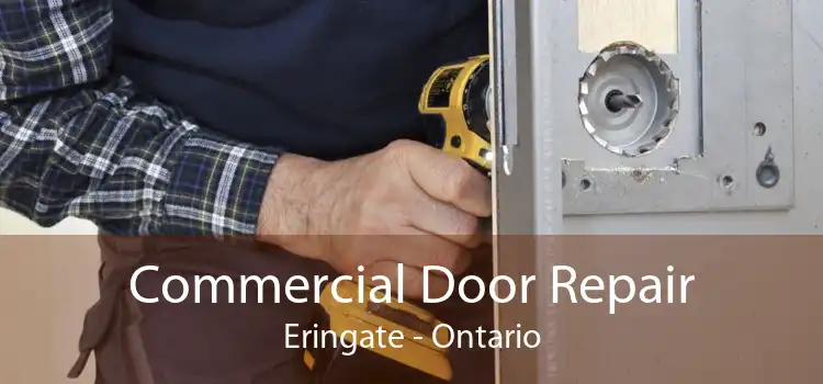 Commercial Door Repair Eringate - Ontario