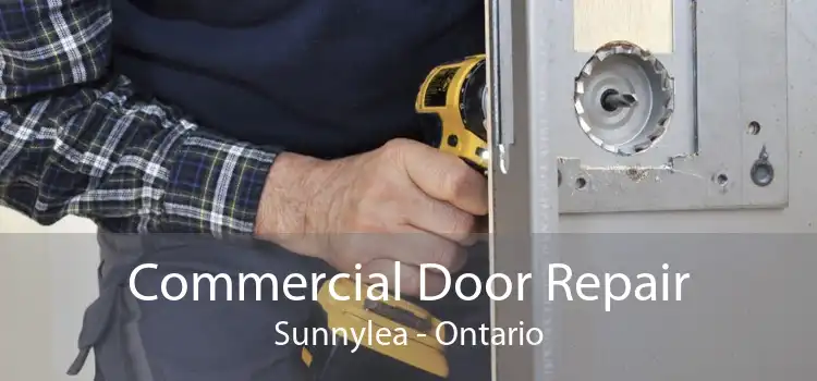 Commercial Door Repair Sunnylea - Ontario