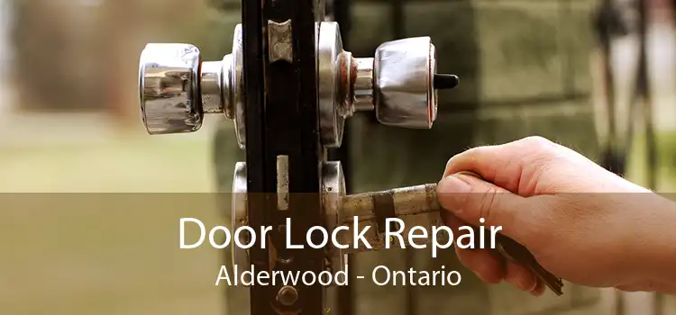 Door Lock Repair Alderwood - Ontario