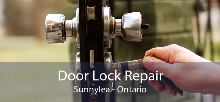 Door Lock Repair Sunnylea - Ontario