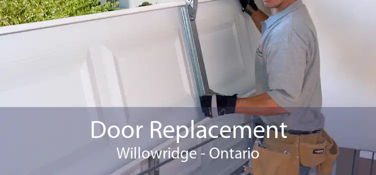 Door Replacement Willowridge - Ontario