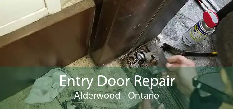 Entry Door Repair Alderwood - Ontario