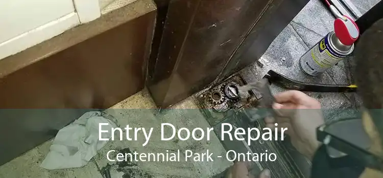 Entry Door Repair Centennial Park - Ontario