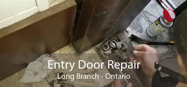 Entry Door Repair Long Branch - Ontario