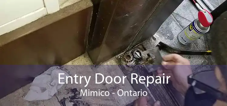 Entry Door Repair Mimico - Ontario