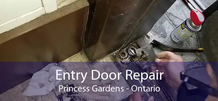 Entry Door Repair Princess Gardens - Ontario