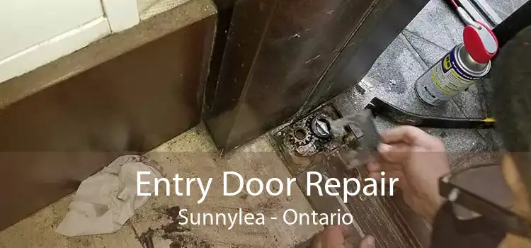 Entry Door Repair Sunnylea - Ontario