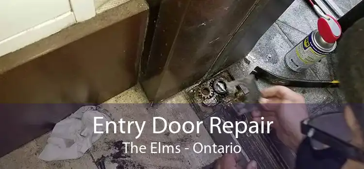 Entry Door Repair The Elms - Ontario