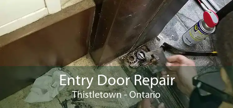 Entry Door Repair Thistletown - Ontario