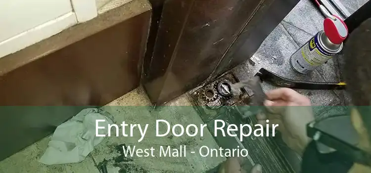 Entry Door Repair West Mall - Ontario