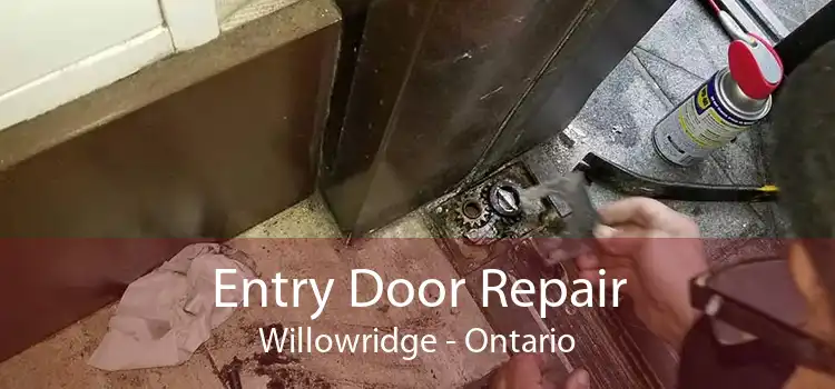 Entry Door Repair Willowridge - Ontario