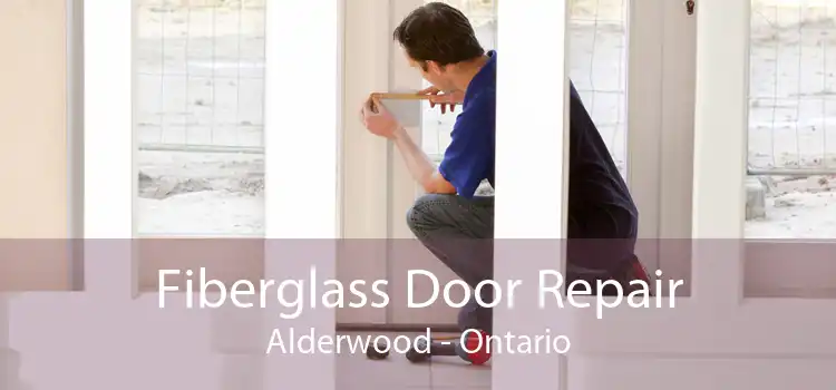 Fiberglass Door Repair Alderwood - Ontario