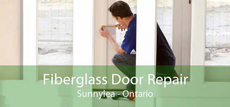 Fiberglass Door Repair Sunnylea - Ontario