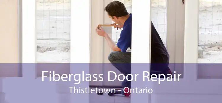 Fiberglass Door Repair Thistletown - Ontario
