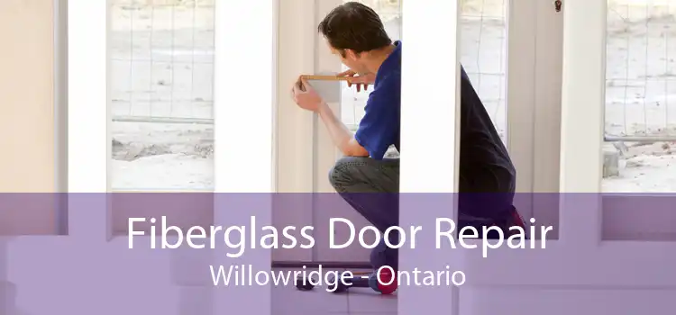 Fiberglass Door Repair Willowridge - Ontario