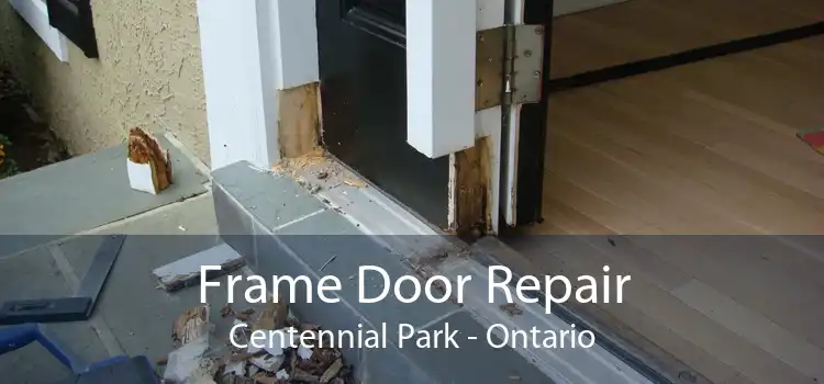 Frame Door Repair Centennial Park - Ontario