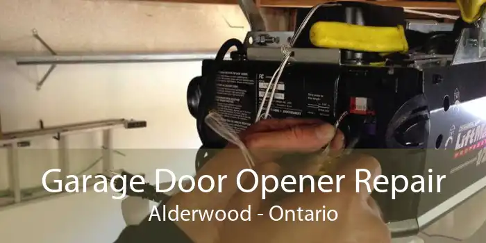 Garage Door Opener Repair Alderwood - Ontario