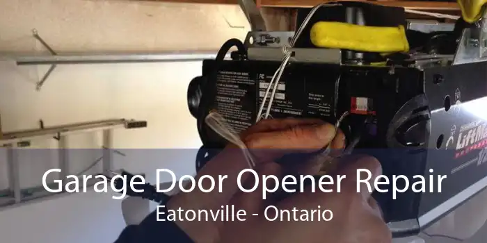 Garage Door Opener Repair Eatonville - Ontario