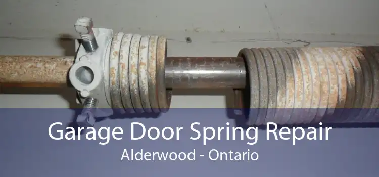 Garage Door Spring Repair Alderwood - Ontario