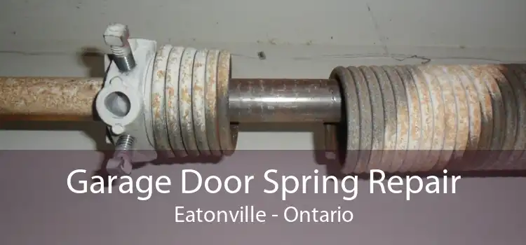 Garage Door Spring Repair Eatonville - Ontario