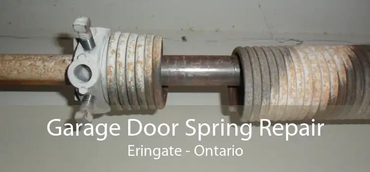 Garage Door Spring Repair Eringate - Ontario