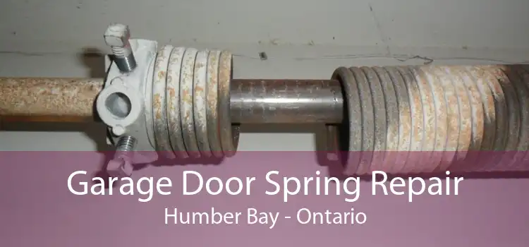 Garage Door Spring Repair Humber Bay - Ontario