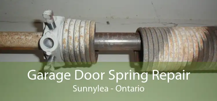 Garage Door Spring Repair Sunnylea - Ontario