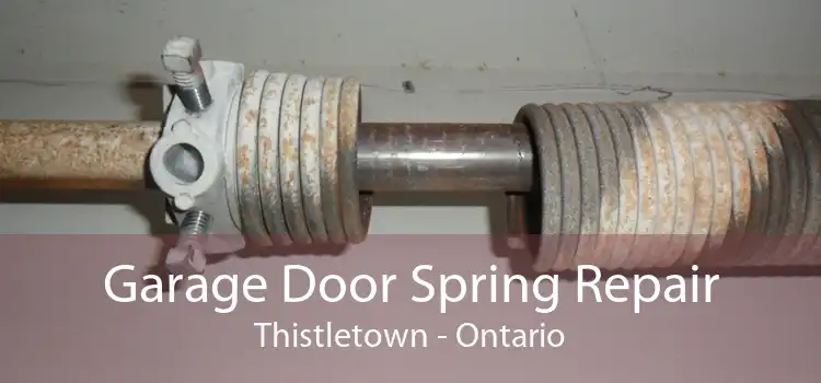 Garage Door Spring Repair Thistletown - Ontario