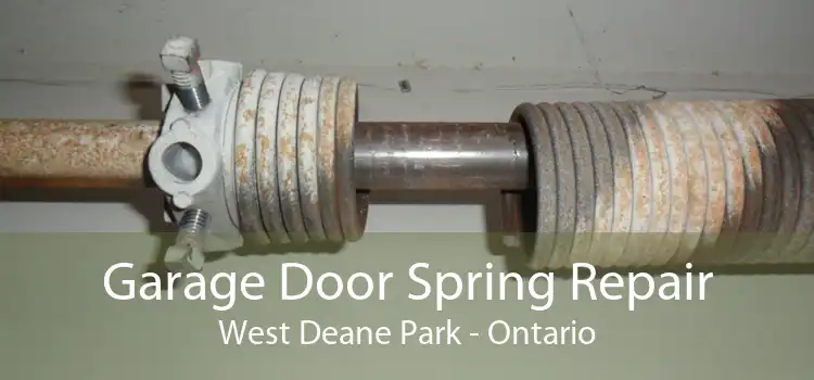 Garage Door Spring Repair West Deane Park - Ontario