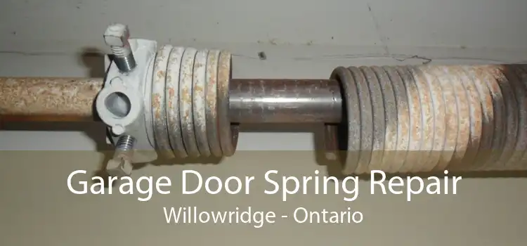 Garage Door Spring Repair Willowridge - Ontario