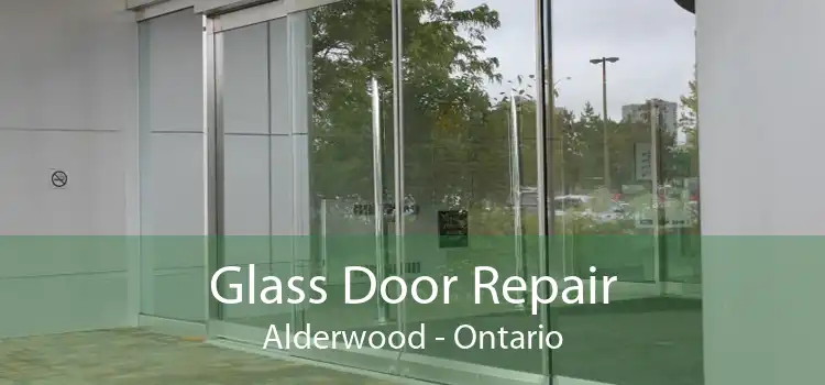 Glass Door Repair Alderwood - Ontario