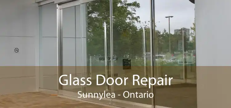 Glass Door Repair Sunnylea - Ontario
