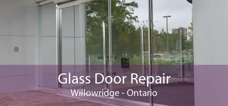 Glass Door Repair Willowridge - Ontario