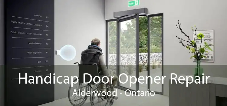 Handicap Door Opener Repair Alderwood - Ontario