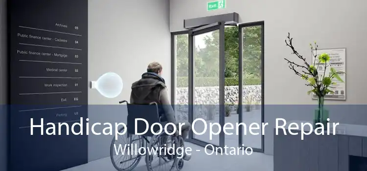 Handicap Door Opener Repair Willowridge - Ontario