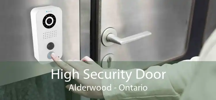 High Security Door Alderwood - Ontario