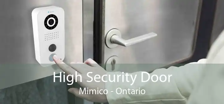 High Security Door Mimico - Ontario