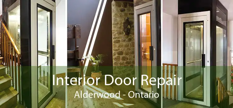 Interior Door Repair Alderwood - Ontario
