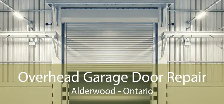 Overhead Garage Door Repair Alderwood - Ontario