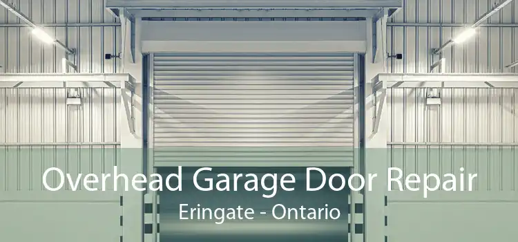 Overhead Garage Door Repair Eringate - Ontario