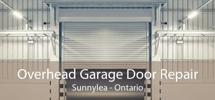 Overhead Garage Door Repair Sunnylea - Ontario