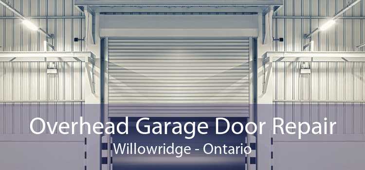 Overhead Garage Door Repair Willowridge - Ontario