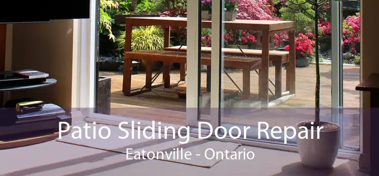 Patio Sliding Door Repair Eatonville - Ontario