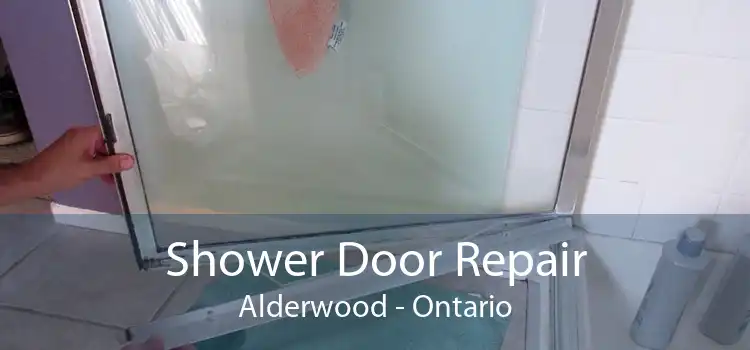 Shower Door Repair Alderwood - Ontario