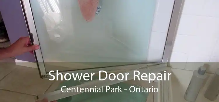 Shower Door Repair Centennial Park - Ontario